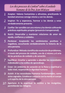 Spanish Version 10 Caritas Processes