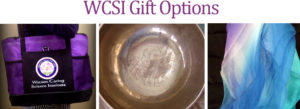 WCSI Gifts in Caring Store