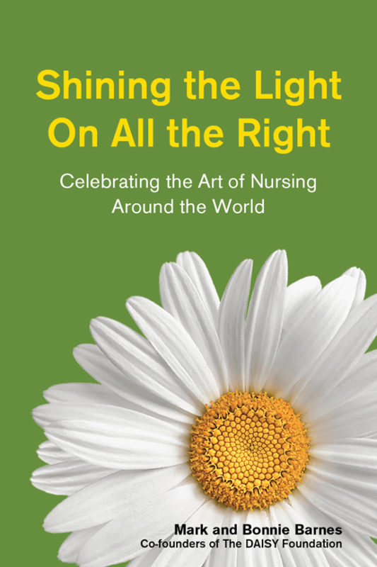 Shining the Light on All the Right book cover