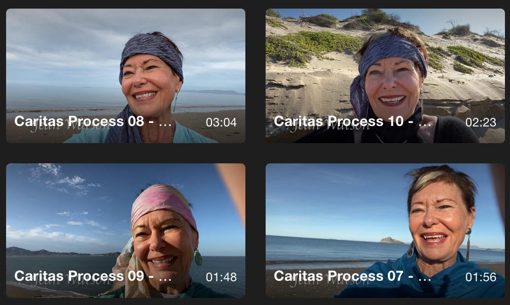 Caritas Process® Videos