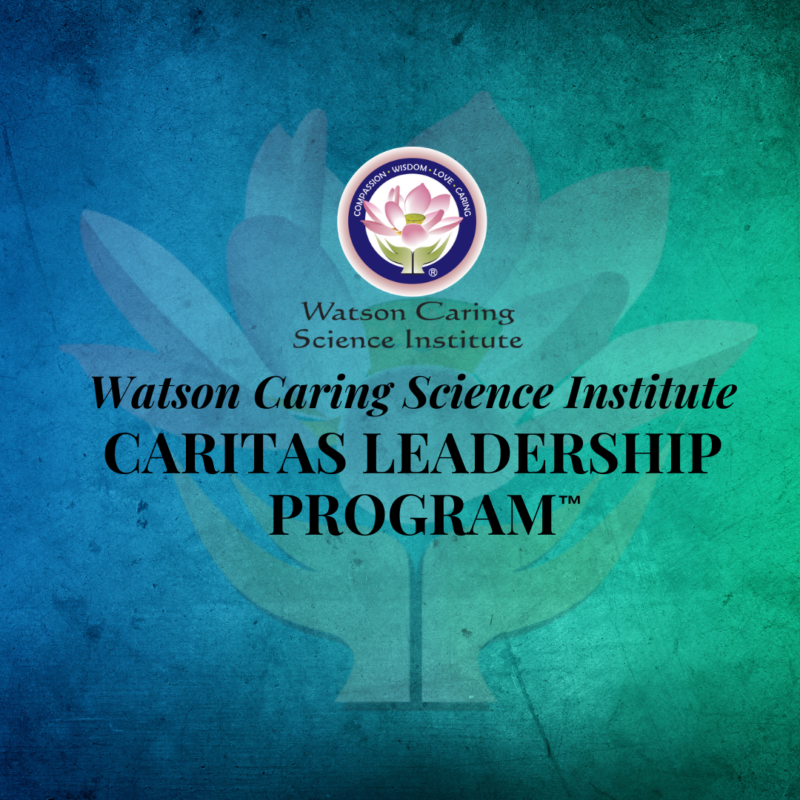 Caritas Leadership Program for Individuals January 2023 Watson