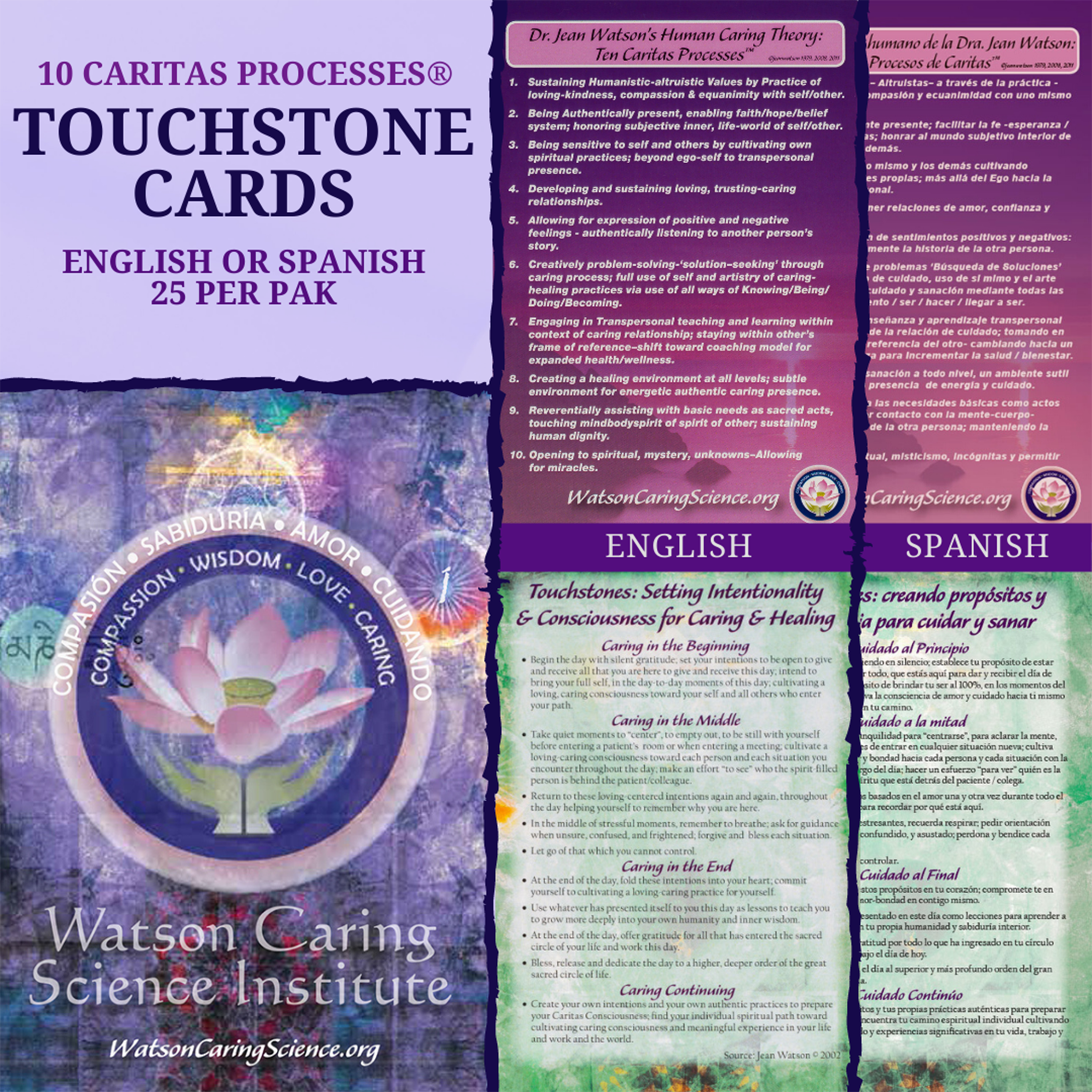 Caritas Process® Touchstone Cards