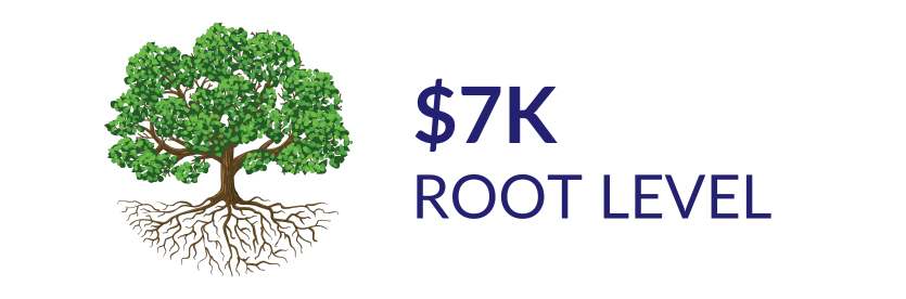 Root Level Sponsorship